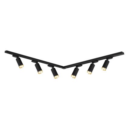 MICA taškinis šviestuvas, skirtas bėgelių sistemai, 6xGU10/10W/230V, juodas/auksinis