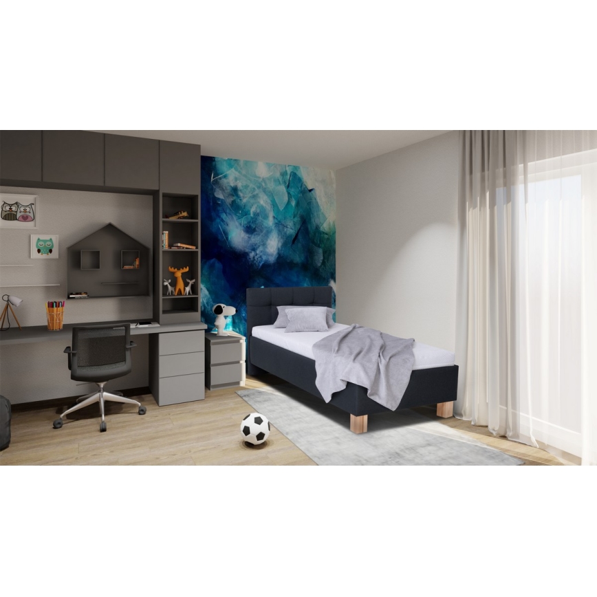 Minkšta lova su čiužiniu ir sandėliavimo vieta MARIA ONE 90x200 cm antracitas