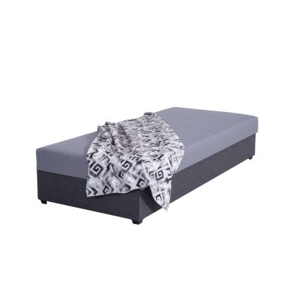 Minkšta lova su sandėliavimo vieta JACOB XL keliamoji galia 130 kg 90x200 cm pilka
