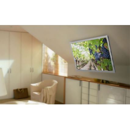 MK FLORIA MKF-20DM444 - Išmanus lubinis televizoriaus laikiklis 55" juoda Wi-Fi TUYA + nuotolinio valdymo pultas