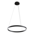 MOD058PL-L32B4K - LED Pakabinamas sietynas RIM LED/37W/230V 4000K diametras 60 cm juoda