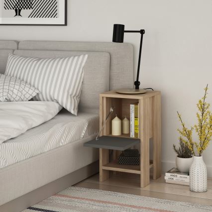 Naktinė spintelė EMA 55x30 cm ruda/pilka