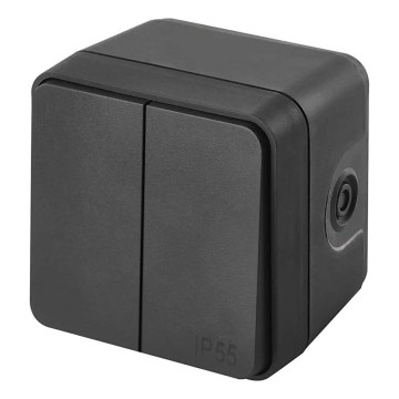 Namų dviejų mygtukų perjungiamasis jungiklis nr. 6+6 IP55 antracitas