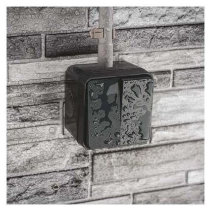 Namų dviejų mygtukų perjungiamasis jungiklis nr. 6+6 IP55 antracitas