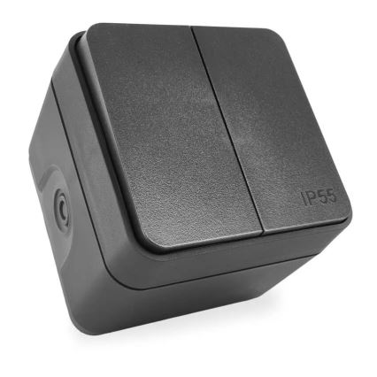 Namų dviejų mygtukų perjungiamasis jungiklis nr. 6+6 IP55 antracitas