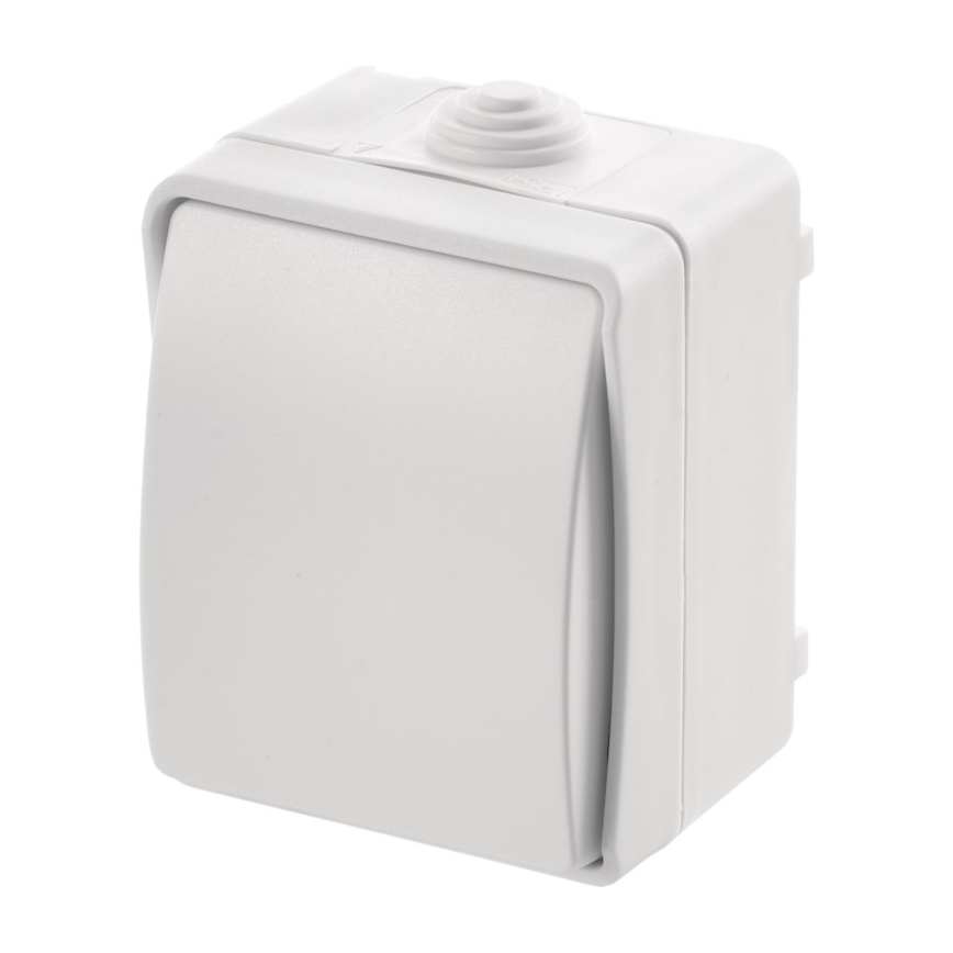 Namų jungiklis kintamas 250V / 10A IP54