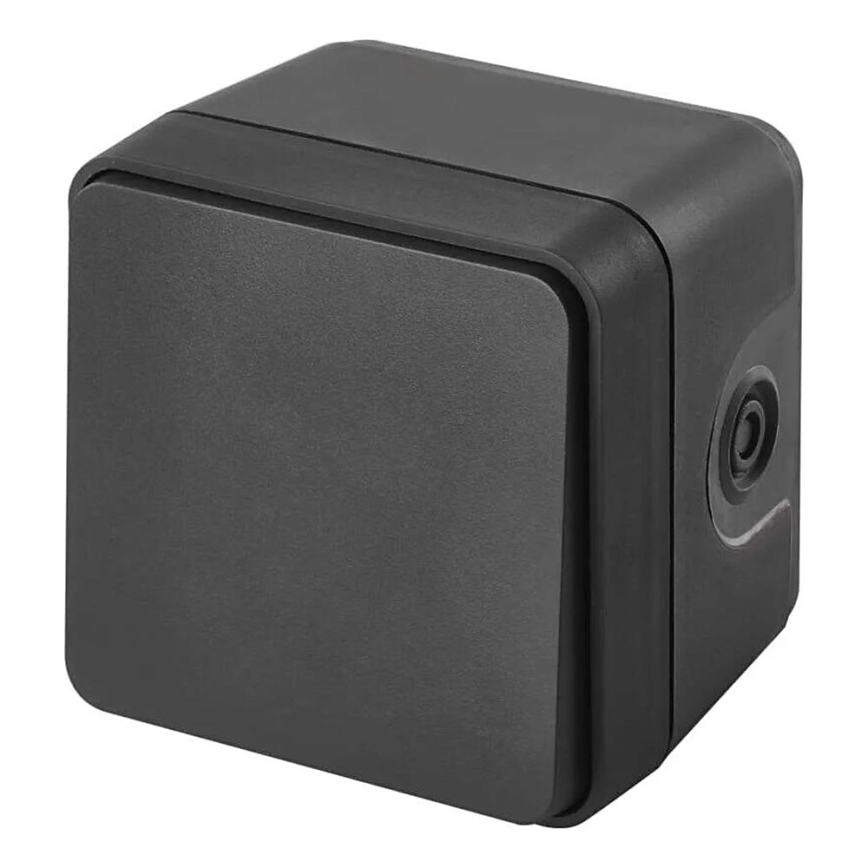 Namų jungiklis pakaitinis 250V/10A IP55