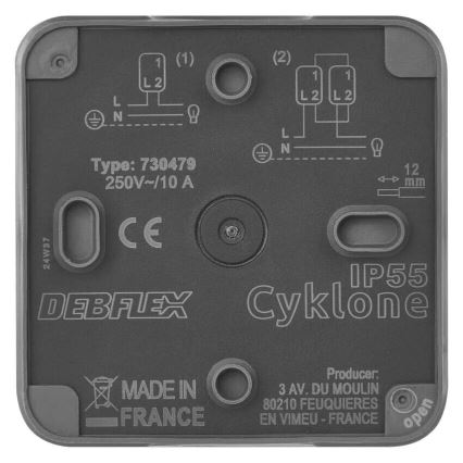 Namų jungiklis pakaitinis 250V/10A IP55