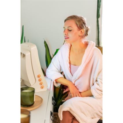 Namų naudojimo veido soliariumas su 8 spalvotais UV vamzdeliais Cosmedico 130W/230V