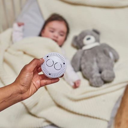 Nattou - Snuggle buddy su melodija ir šviesa SLEEPY BEAR 4in1 pilka