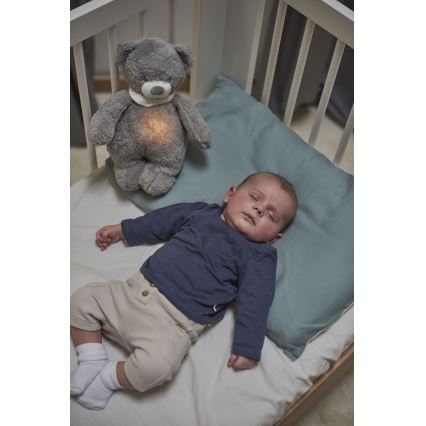 Nattou - Snuggle buddy su melodija ir šviesa SLEEPY BEAR 4in1 pilka