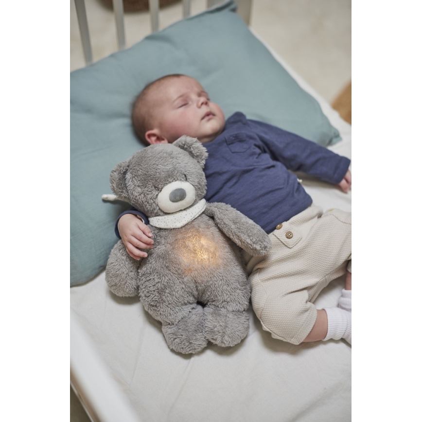 Nattou - Snuggle buddy su melodija ir šviesa SLEEPY BEAR 4in1 pilka