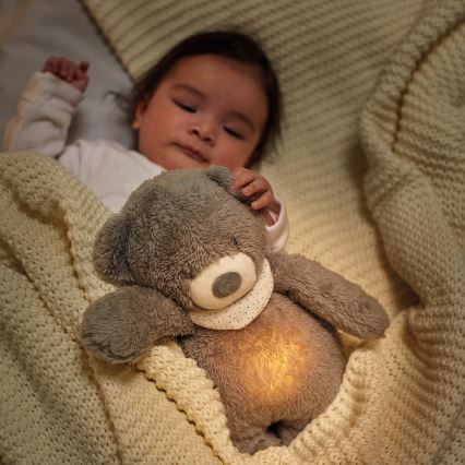 Nattou - Snuggle buddy su melodija ir šviesa SLEEPY BEAR 4in1 pilka