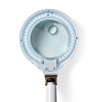 LED Stalinė lempa su didintuvu LED/6,5W/230V 6500K