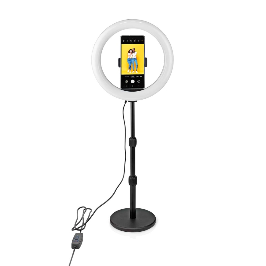 LED Reguliuojama LED lempa su stovu ir laikikliu LED/6W/USB