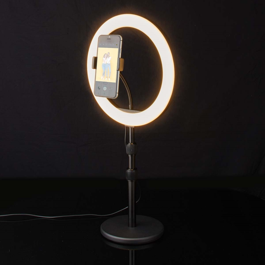LED Reguliuojama LED lempa su stovu ir laikikliu LED/6W/USB