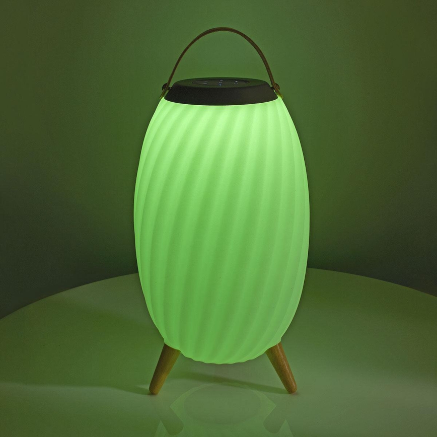 LED RGB Įkraunamas Stalinis šviestuvas su kolonėle 60W/2200 mAh IPX5