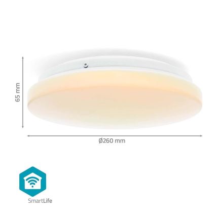 LED RGBW Pritemdomas sieninis vonios šviestuvas SmartLife LED/18W/230V 2700-6500K IP44 Wi-Fi Tuya