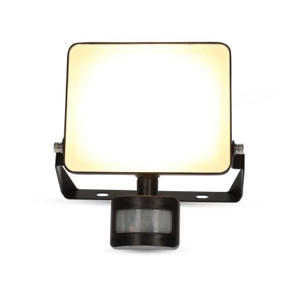 Reguliuojamas LED prožektorius SmartLife, kištukinis, su judesio jutikliu, 20W/230V, 3000-6500K, IP44, Wi‑Fi