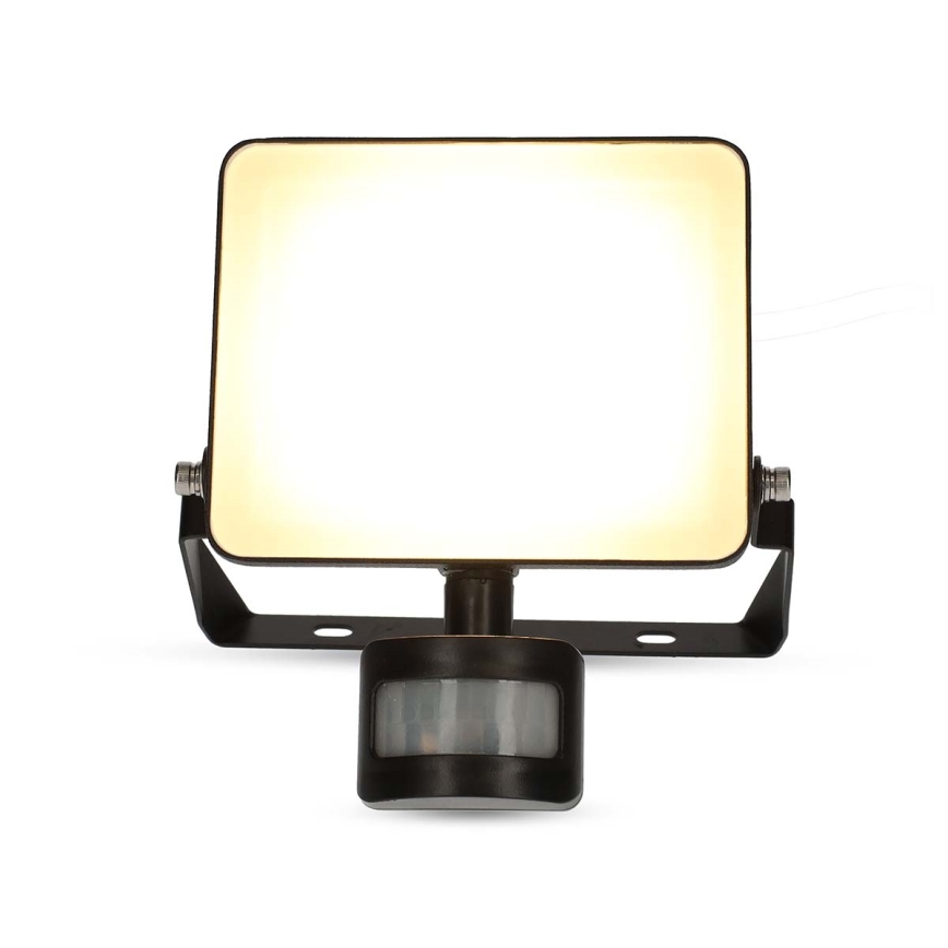 Reguliuojamas LED prožektorius SmartLife, kištukinis, su judesio jutikliu, 20W/230V, 3000-6500K, IP44, Wi‑Fi