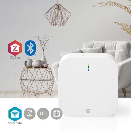 Išmanūs vartai SmartLife Wi-Fi Zigbee