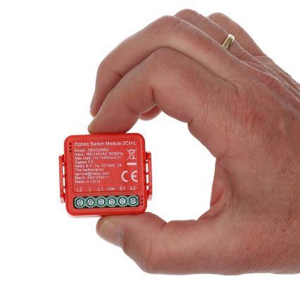 Išmanusis SmartLife jungiklis 230 V