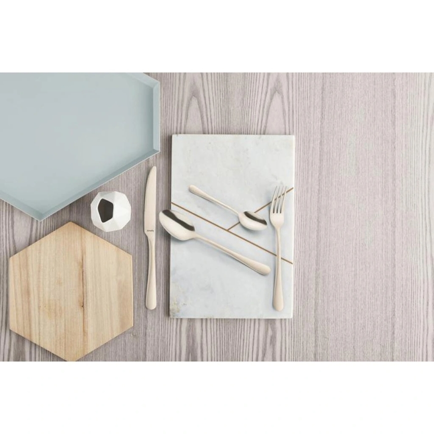 Nerūdijančio plieno stalo įrankių rinkinys AUSTIN, 24 vnt.