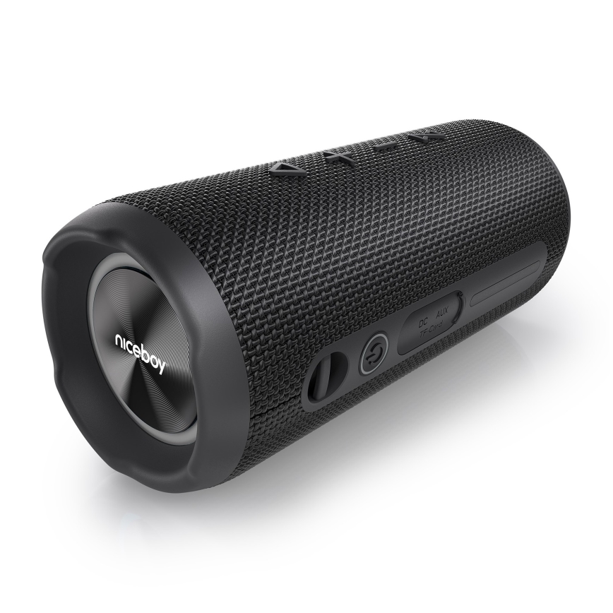 Niceboy Nexus - LED Belaidis garsiakalbis su mikrofonu 26W/4000 mAh IPX6 juoda