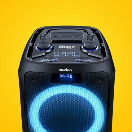 Niceboy PARTY Boss 2 - LED Belaidis garsiakalbis su mikrofonu ir maitinimo bankas funkcija 200W/4500 mAh + nuotolinio valdymo pultas