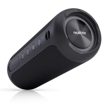 Niceboy Polaris - LED Belaidis garsiakalbis su mikrofonu 30W/4000 mAh IPX7 juoda