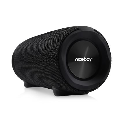 Niceboy Titan 4 - LED Belaidis garsiakalbis su mikrofonu ir maitinimo bankas funkcija 50W/4000 mAh IPX7 juoda