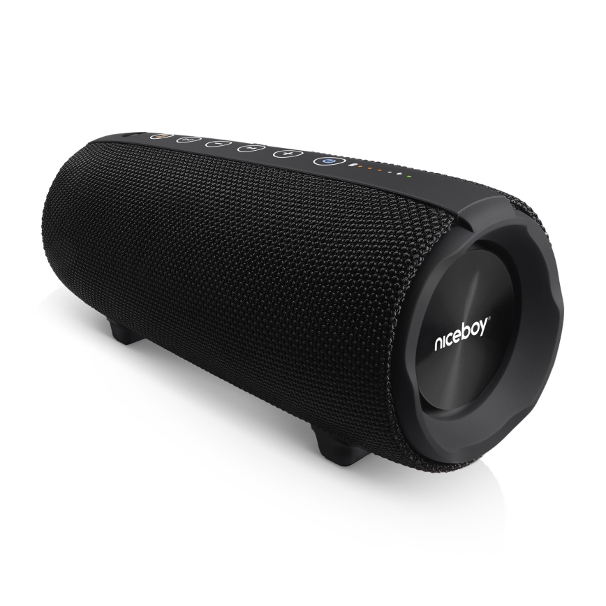 Niceboy Titan 4 - LED Belaidis garsiakalbis su mikrofonu ir maitinimo bankas funkcija 50W/4000 mAh IPX7 juoda