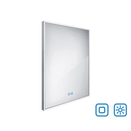 NIMCO ZP 13002VX - LED pritemdomas apšviestas veidrodis voniai LED/41W/230V 3000-6500K 80x60 cm IP44