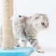 Nobleza - Draskyklė katėms mėlynos/smėlio spalvos