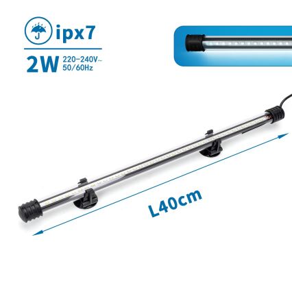 Nobleza - LED Akvariumo apšvietimas LED/2W/230V IPX7 40 cm