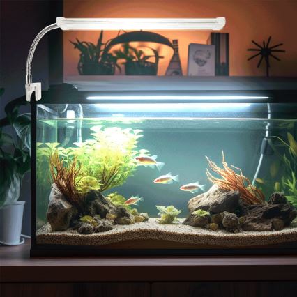 Nobleza - LED Akvariumo apšvietimas LED/8W/230V IPX7 30 cm