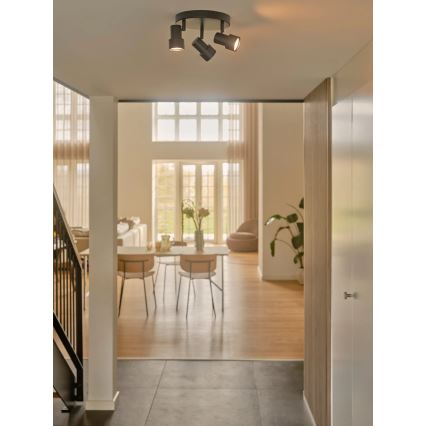 Nordlux - Akcentinis apšvietimas BOSTON 3xGU10/5W/230V