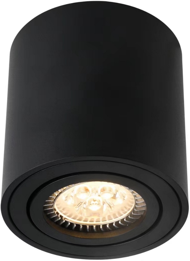 Nordlux - Akcentinis apšvietimas SABONIS 1xGU10/40W/230V juoda