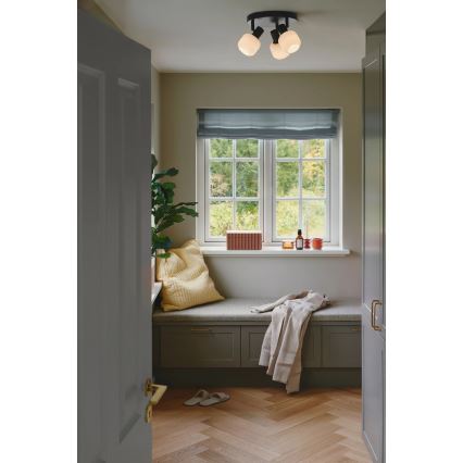 Nordlux - Akcentinis šviestuvas MILFORD 3xE14/25W/230V