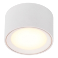 Nordlux - Dimeruojamas LED taškinis šviestuvas FALLON LED/5,5W/230V baltas