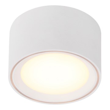 Nordlux - Dimeruojamas LED taškinis šviestuvas FALLON LED/5,5W/230V baltas
