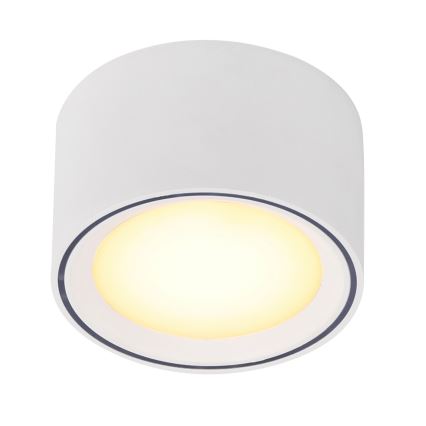 Nordlux - Dimeruojamas LED taškinis šviestuvas FALLON LED/5,5W/230V baltas