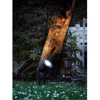 Nordlux - Lauko akcentinis šviestuvas SPOTLIGHT 1xGU10/35W/230V IP54