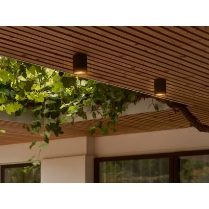 Nordlux - Lauko lubinis šviestuvas KYKLOP 1xGU10/15W/230V IP54 juoda