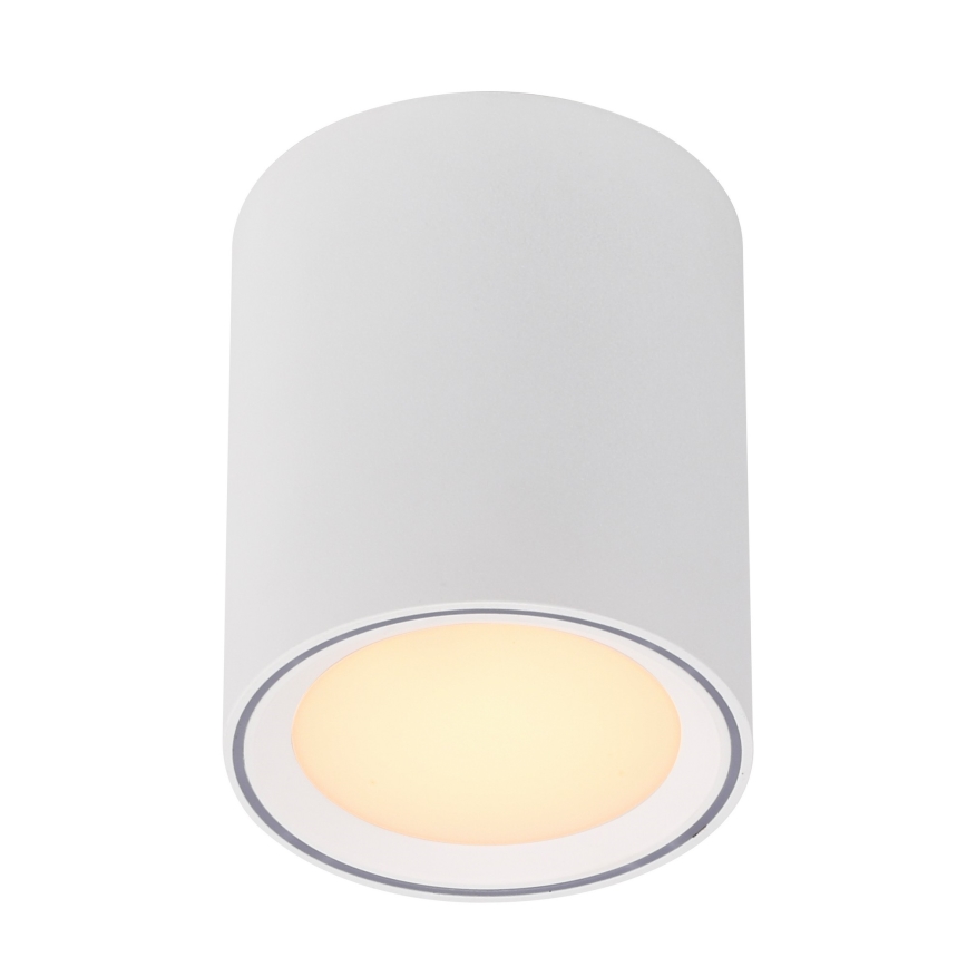 Nordlux - LED akcentinis šviestuvas FALLON LONG LED/5,5W/230V balta