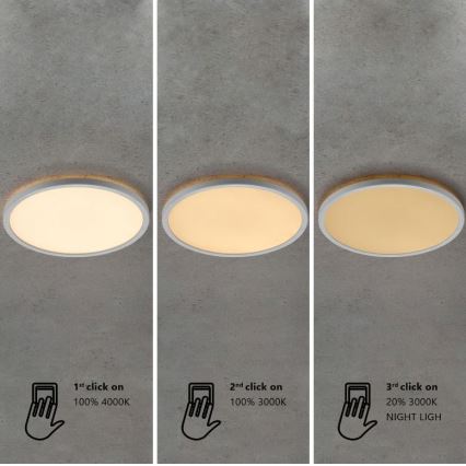 Nordlux - LED dimeriu reguliuojamas vonios lubinis šviestuvas OJA LED/14,5W/230V 3000/4000K IP54 skersmuo 30 cm