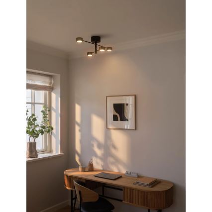 Nordlux - LED lubinis šviestuvas CLYDE 4xLED/4W/230V