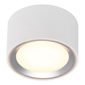 Nordlux - LED Pritemdomas lubinis šviestuvas FALLON LED/5,5W/230V 2700K balta