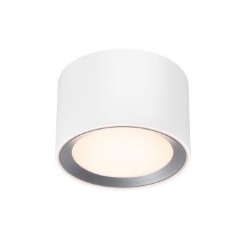 Nordlux -LED šviesos reguliavimas vonia Akcentinis šviestuvas LANDON SMART LED/8W/230V 2700-6500K IP44 balta