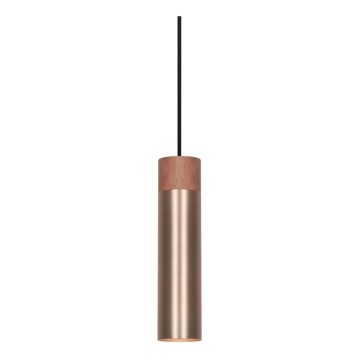 Nordlux - Pakabinamas šviestuvas ant laido TILO 1xGU10/15W/230V žalvaris